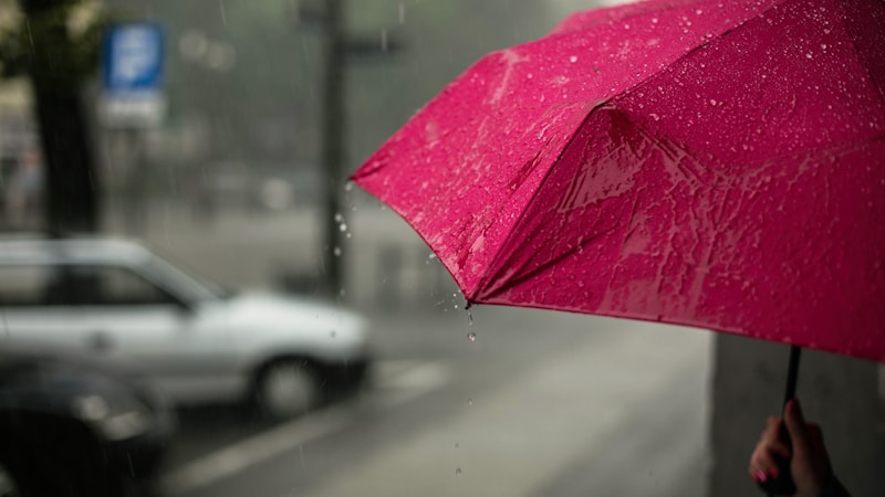 晴雨兼用の傘おすすめ15選|一本で快適に過ごせる選び方のコツを優しく解説