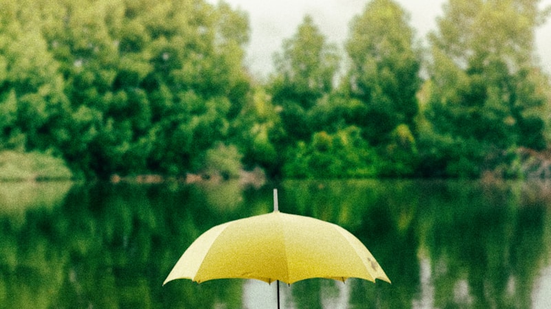 晴雨兼用の傘おすすめ15選|一本で快適に過ごせる選び方のコツを優しく解説